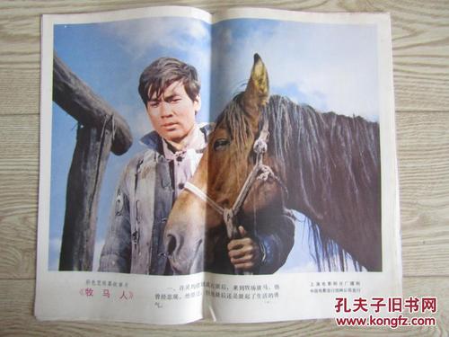 魁北克省 驾驶证办理